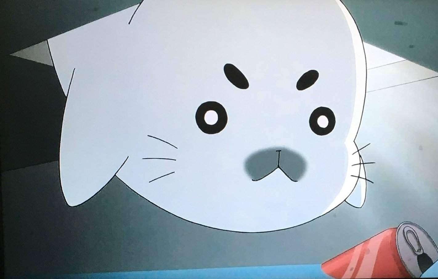 ごまきゅう@ QQ ゴマちゃん on X: 