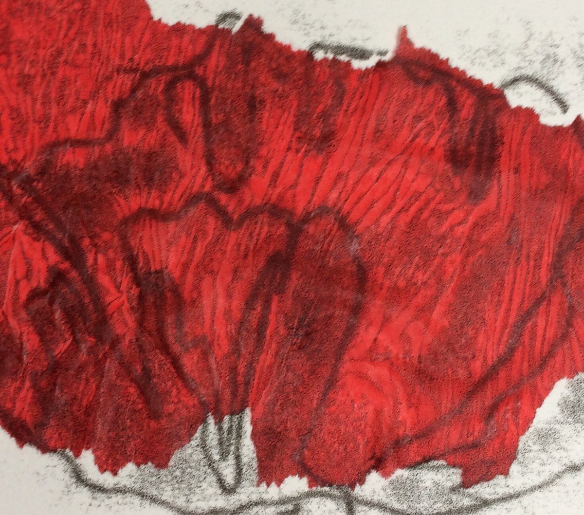 toniagunstone's tweet photo. #monoprinting #chinecolle #poppy #printmaking #atthekitchentable https://t.co/i8PoFeoCfe