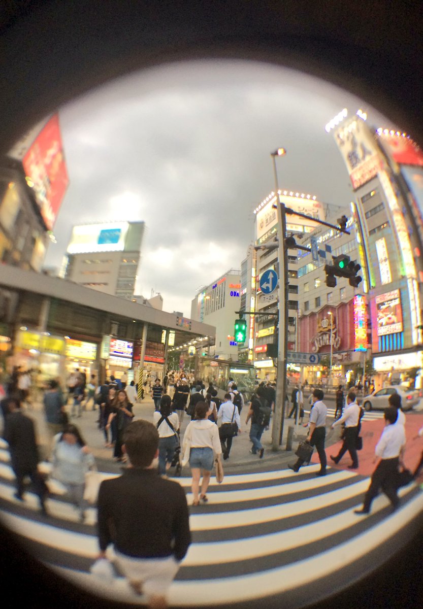 complexurbanism's tweet photo. Crossing in Shinjuku - #CPUJapan #ibstock @TheMSArch - RW https://t.co/ykdmXI1dMI