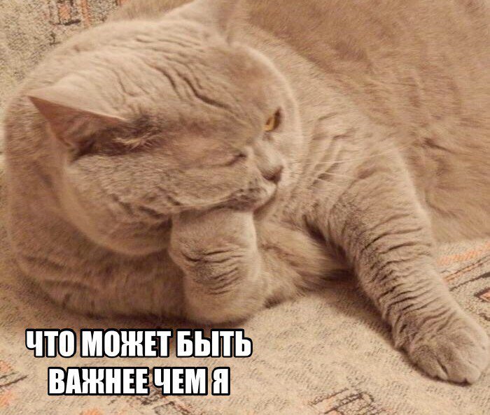 drunktwi's tweet photo. Когда он не отвечает дольше одной минуты https://t.co/jjphGyT9CD