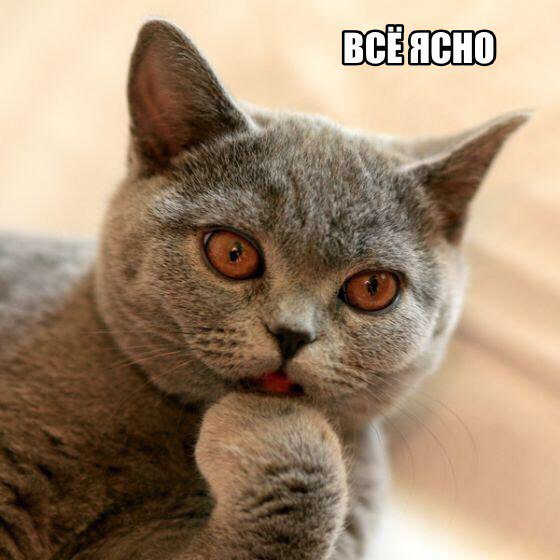 drunktwi's tweet photo. Когда он не отвечает дольше одной минуты https://t.co/jjphGyT9CD