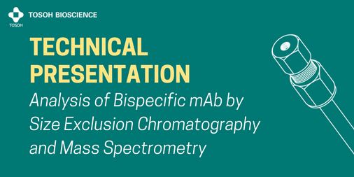 download constraint propagation in