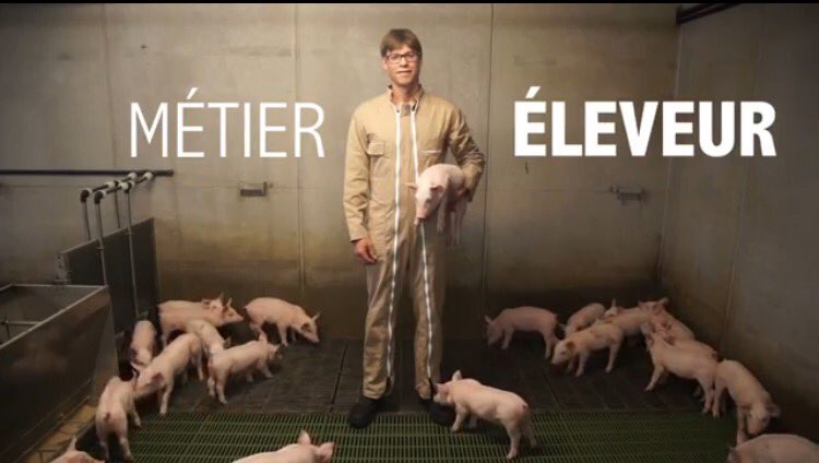 H_Patard's tweet photo. Belle initiative ! C'est ça etre éleveur de porcs aujourd'hui 🐷. https://t.co/wlyyWvHTgK https://t.co/YfJv9XRnuM