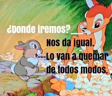 MyAndHellito's tweet photo. #DonanaArde #Donanasequema
#Quemar_vuestras_casas https://t.co/Qh5Leag49j