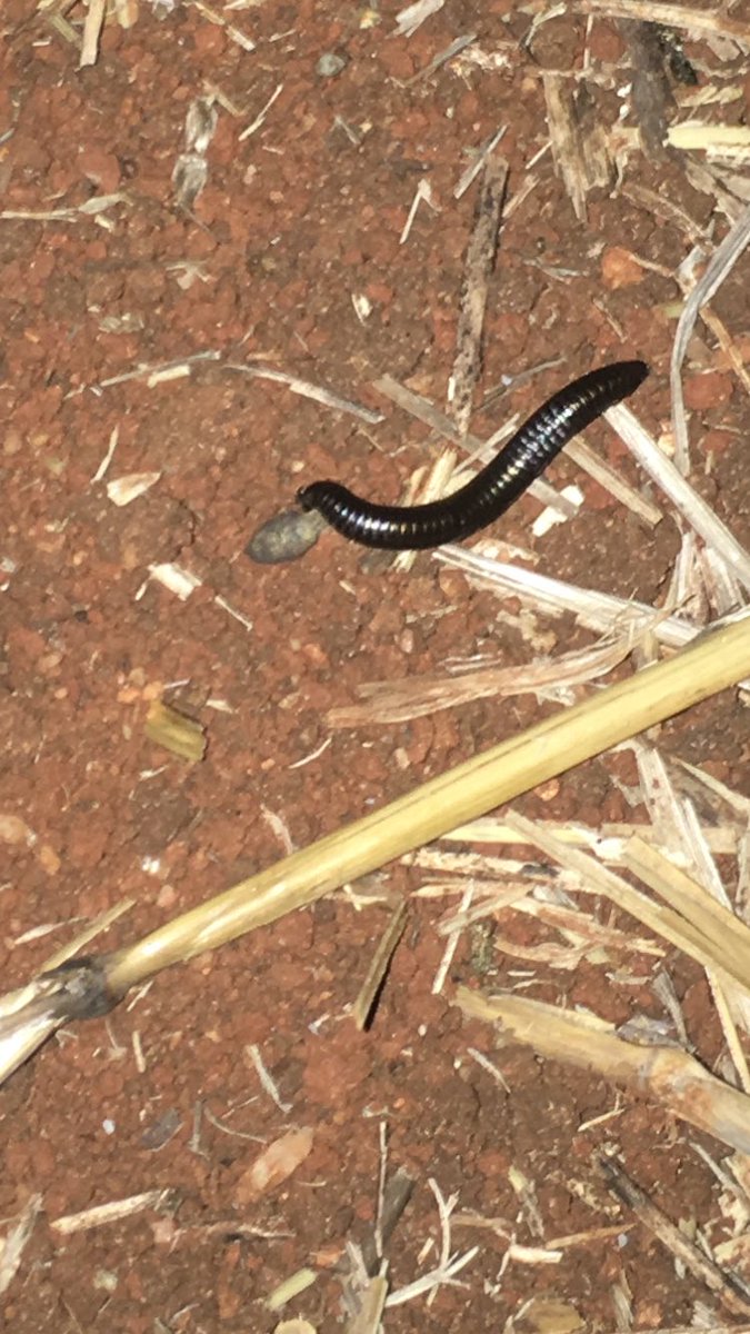 Simon Wheare tweet media