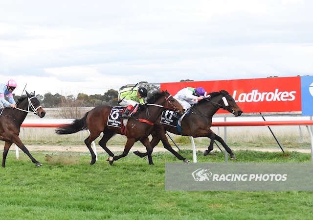 Two runners for two winners at Murtoa today. Congratulations to connections