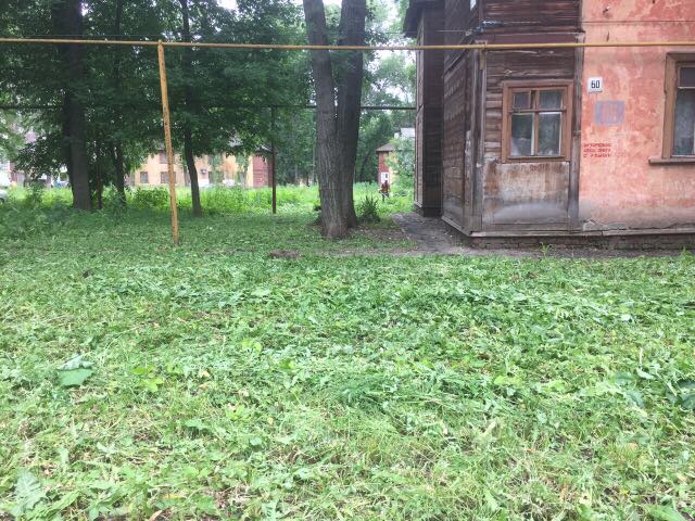 Ташкентский переулок 60а, покос травы