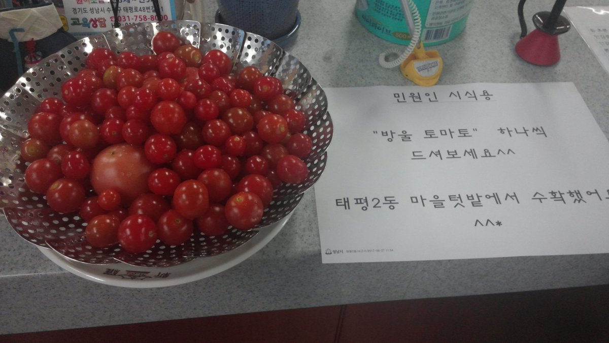 #성남시 #태평2동 작은 마을텃밭에서
첫수확한 "방울토마토"입니다.
민원인 시식용입니다.
싱싱하죠?^^*♥