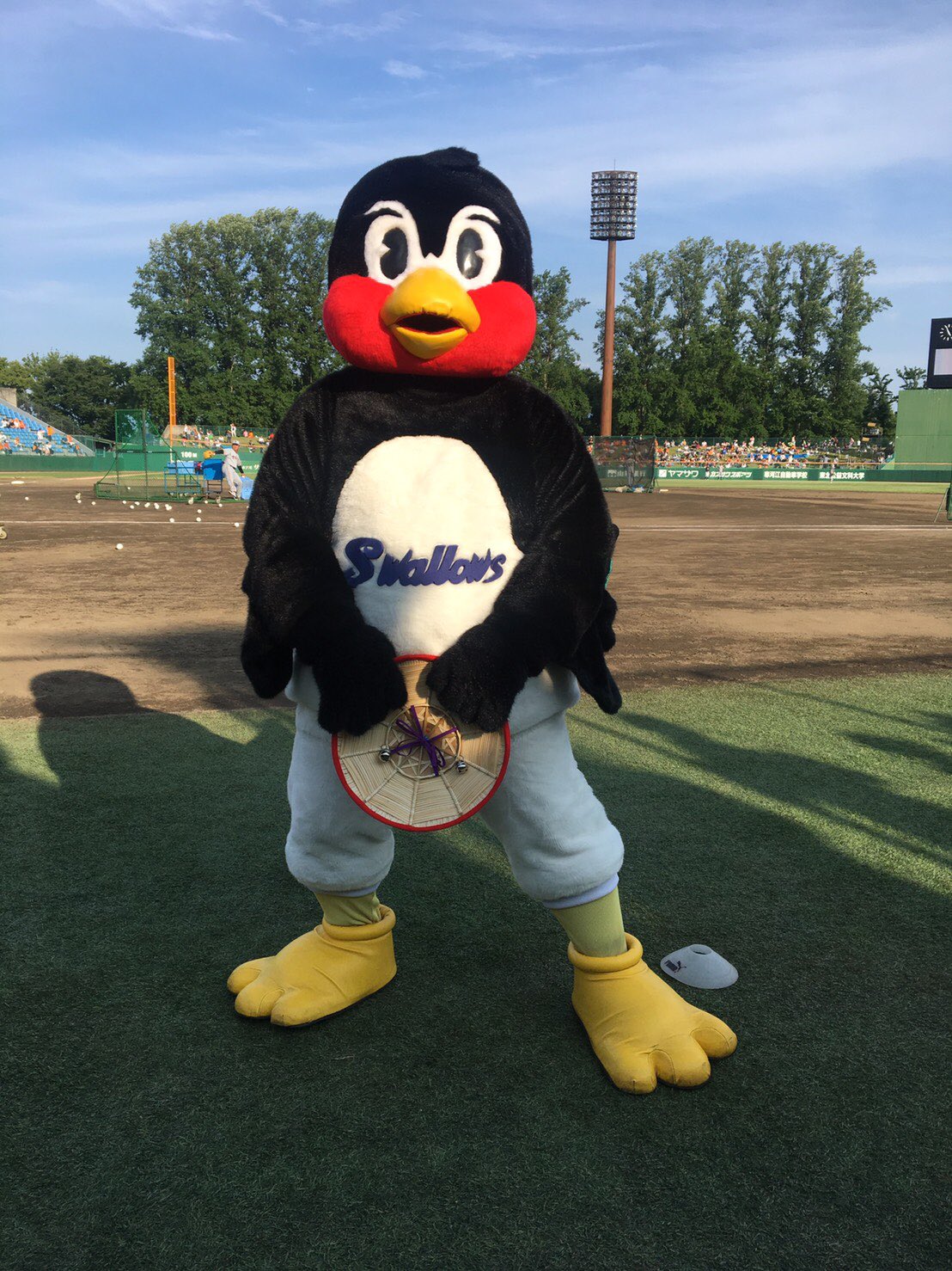 東京ヤクルトスワローズ公式 Auf Twitter つば九郎花笠音頭バージョン 三枚目の写真はつば九郎の悪ノリ 東京ヤクルトスワローズ公式 Auf Twitter つば九郎花笠音頭バージョン 三枚目の写真はつば九郎の悪ノリ