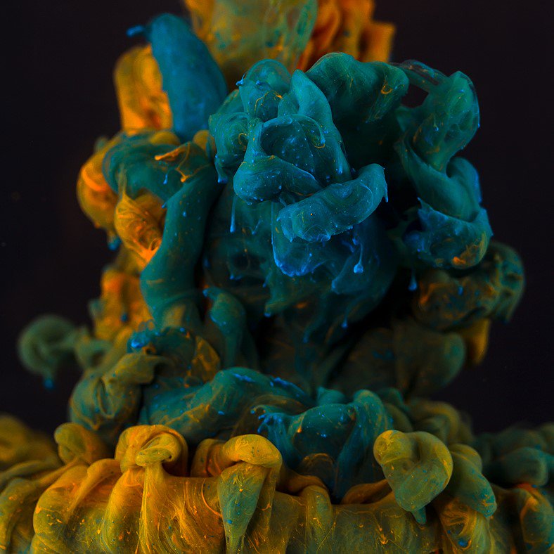 Athinaengland's tweet photo. I've always wondered how these stunning shots are created. #photography #photo #macrophoto  https://t.co/NidCRAyyqi https://t.co/UWhvLNBfp0