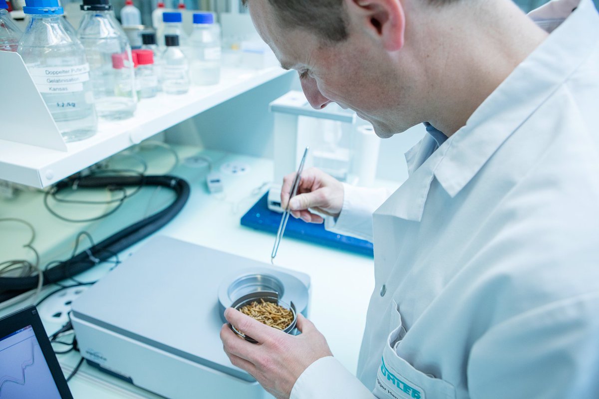 Bühler Anlagen machen aus Insekten nachhaltige Proteinquellen @buhlergroup <a href="/uzwil/">Funda Akkus</a> #innovation #proteine
uzwil24.ch/2017/06/buehle…