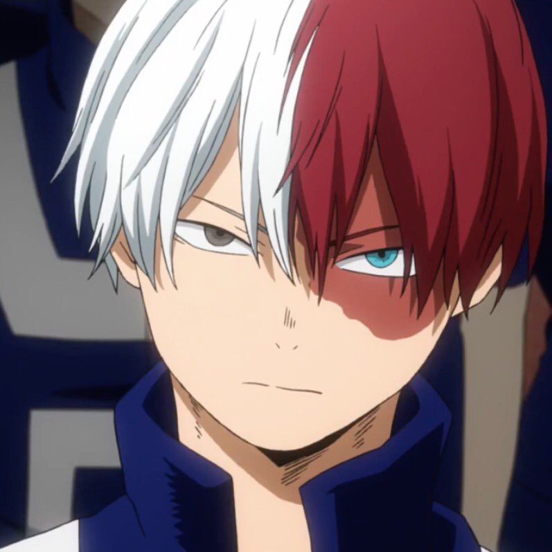 Risultati immagini per todoroki my hero academia my anime list