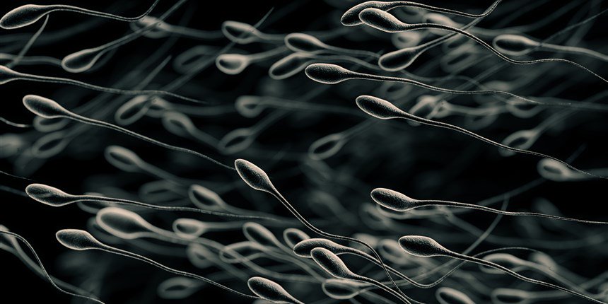 Science Picture Company tweet media