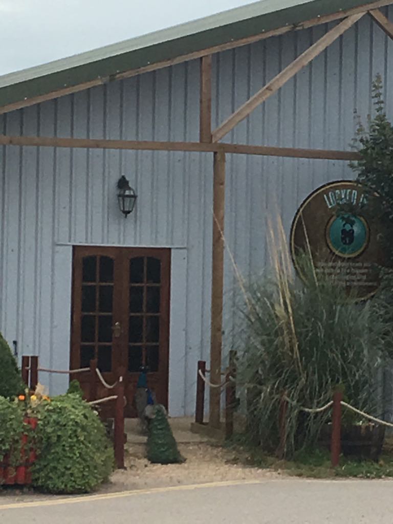 Some of the #Twinlakes peacocks want to play an Escape Game! 😆😆 #animalescape