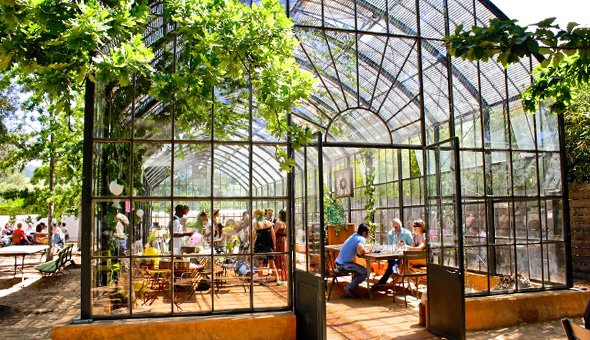 #Babelyonstoren is a must-do item for your itinerary when staying in Franschhoek.  bit.ly/2scNOyg  #farmlife #wholesomefood