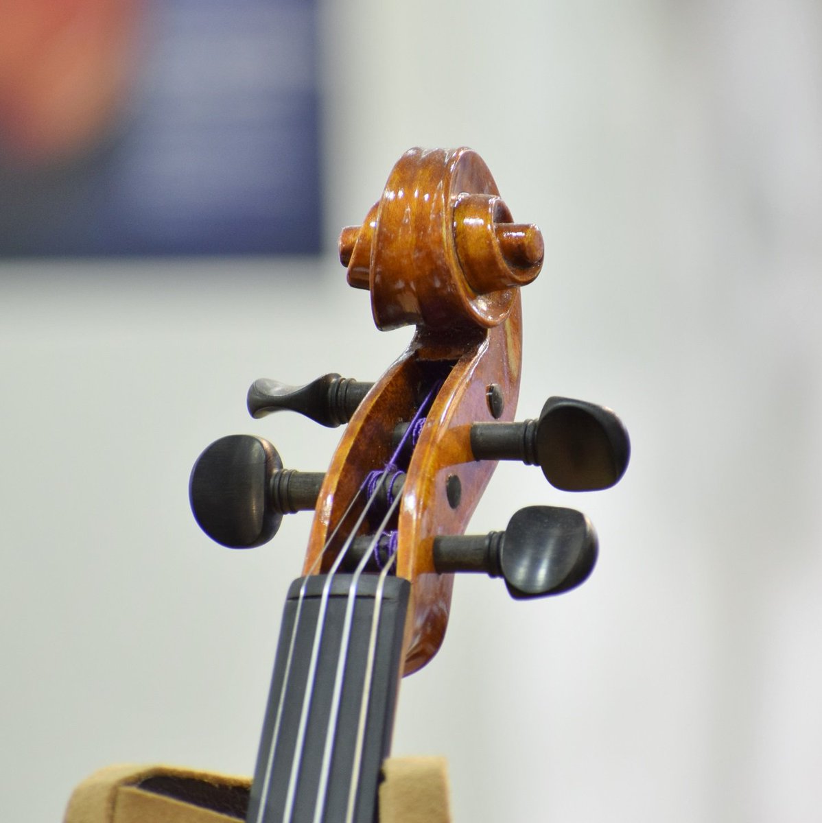 クロサワバイオリン池袋店 Ar Twitter 左利き用violin 先日ご紹介させていただいたレフティ ヴァイオリン がwebからもご購入頂けるようになりました 魂柱やバスバーまで逆位置で設計された特別仕様のヴァイオリンでございます 特価 127 500 税別
