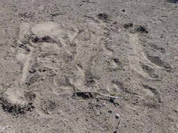 Don Klinger tweet media