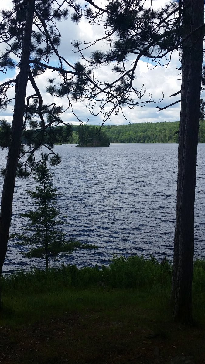 Cmpcrzy1's tweet photo. @Algonquin_PP We canoed to Tom Thomson lake and had lunch there https://t.co/rcksvNZSDb