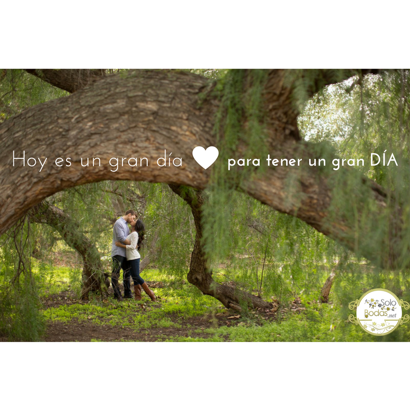 solobodasnet's tweet photo. Hoy y siempre!!
Buenos días!! 💕👣 #solobodas https://t.co/c9oBz5aabf
