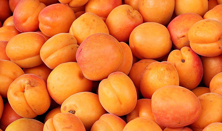 valenciafruits's tweet photo. La #cotización del #albaricoque sube un 28% con la entrada de nuevas variedades. #Agrocomercio https://t.co/BqQSmCQ4M8 https://t.co/ooG7M2atjE