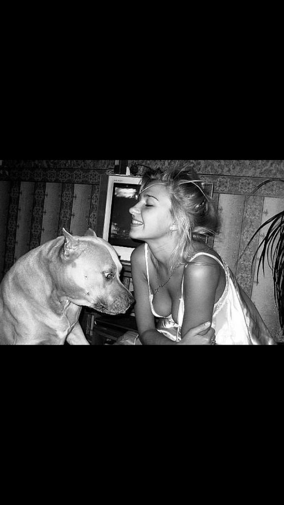 <a href="/semicvet50/">Loren</a>