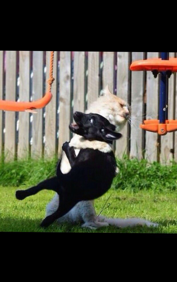 <a href="/PurbaSr/">Praby</a> <a href="/OilVirgin/">virgin oil</a>