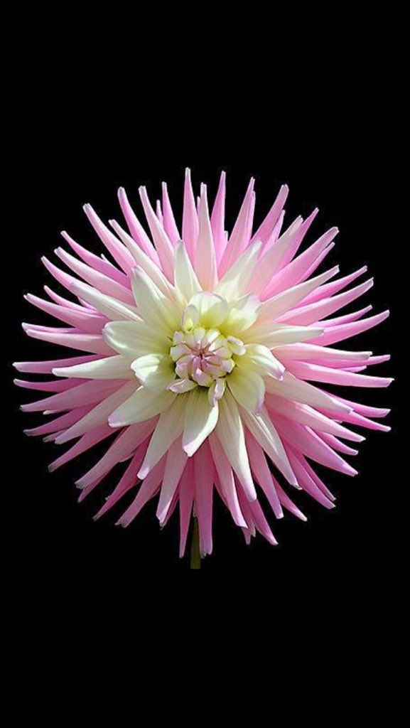 <a href="/OilVirgin/">virgin oil</a> <a href="/semicvet50/">Loren</a>