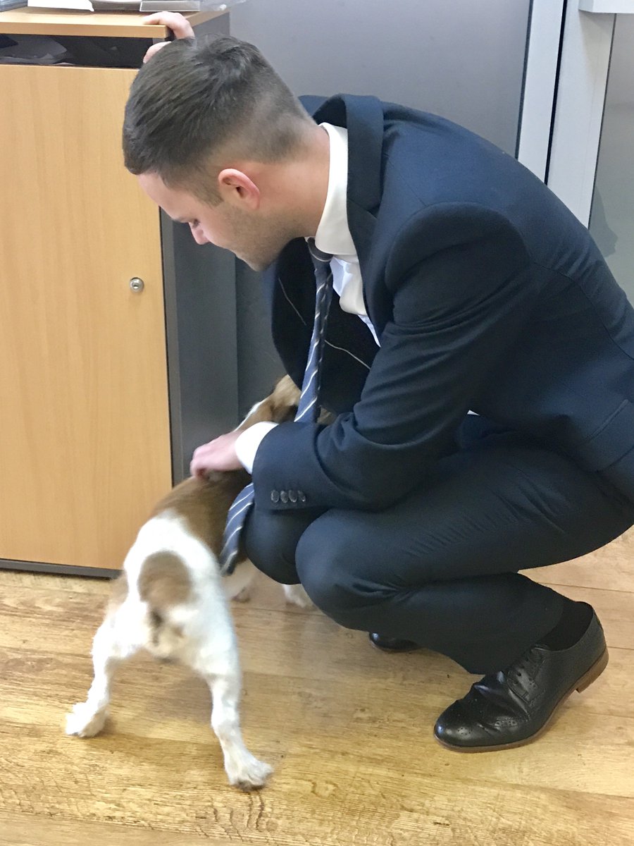 SNOOPY IS OUR NEW WHITEGATES MASCOT ;-)  #dog #estateagent #property #forsale  WHY NOT POP IN TODAY TO MEET SNOOPY #doncasterisgreat