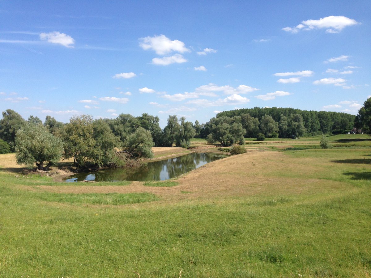 EllyMentink's tweet photo. De prachtige #Ooijpolder bij Nijmegen https://t.co/jOEtWRx0Ey