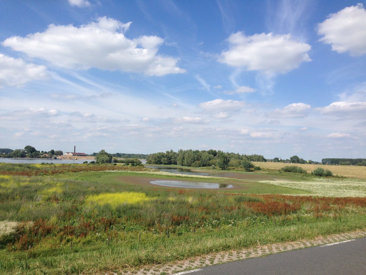 EllyMentink's tweet photo. De prachtige #Ooijpolder bij Nijmegen https://t.co/jOEtWRx0Ey