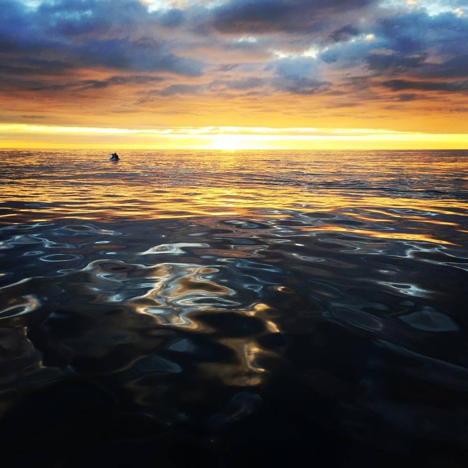 HusavikAdventur's tweet photo. A humpback whale playing around in the midnight sun yesterday evening! #whales #whalewatching #midnightsun #husavikadventures #iceland https://t.co/oKyhfu9Sa6