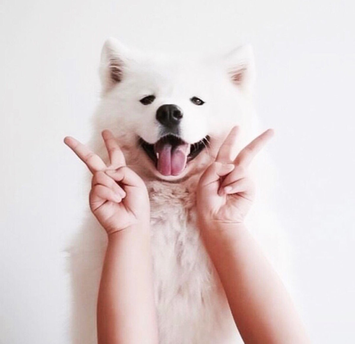 ARLOBLAK's tweet photo. Most smiles are started by another smile ๐ So flash those pearly whites โค๏ธ! #ARLOANDME https://t.co/tbWdVMGB8a