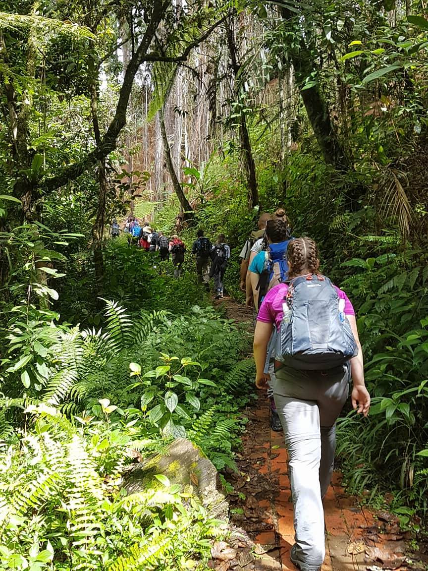 McLarenHigh's tweet image. One of the World Challenge groups completing their first trek in the Cameron Highlands in Malaysia. It looks amazing!