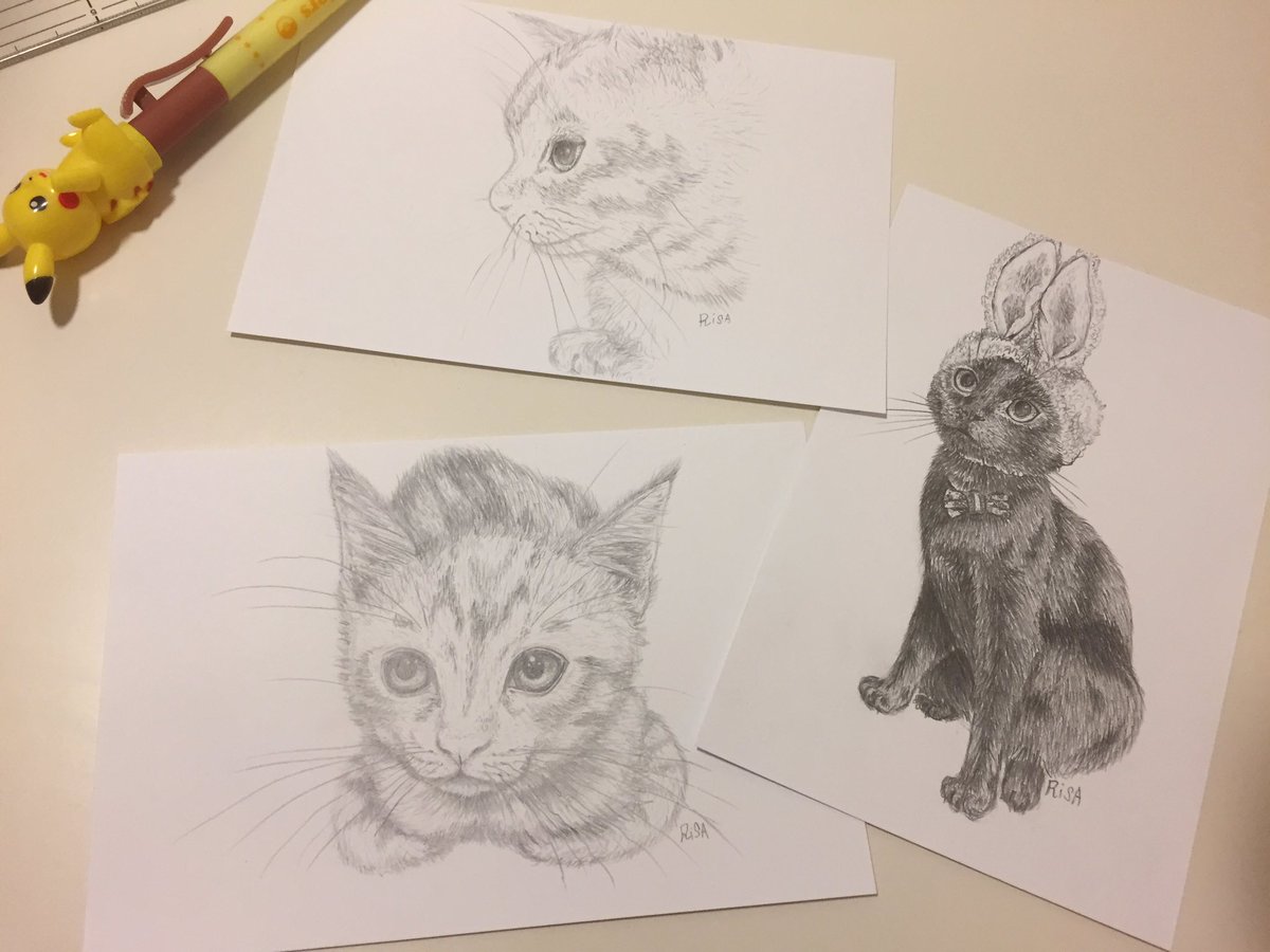リサ A Twitteren 日曜日から病室で描き始めた3枚 ウチのルッちゃん しょこたんちのメポちゃん 絵の勉強はしてませんので自己流 猫 イラスト シャーペン キタンクラブ ねこうさぎちゃん ルナ 黒猫 中川翔子 中川春巻メポ