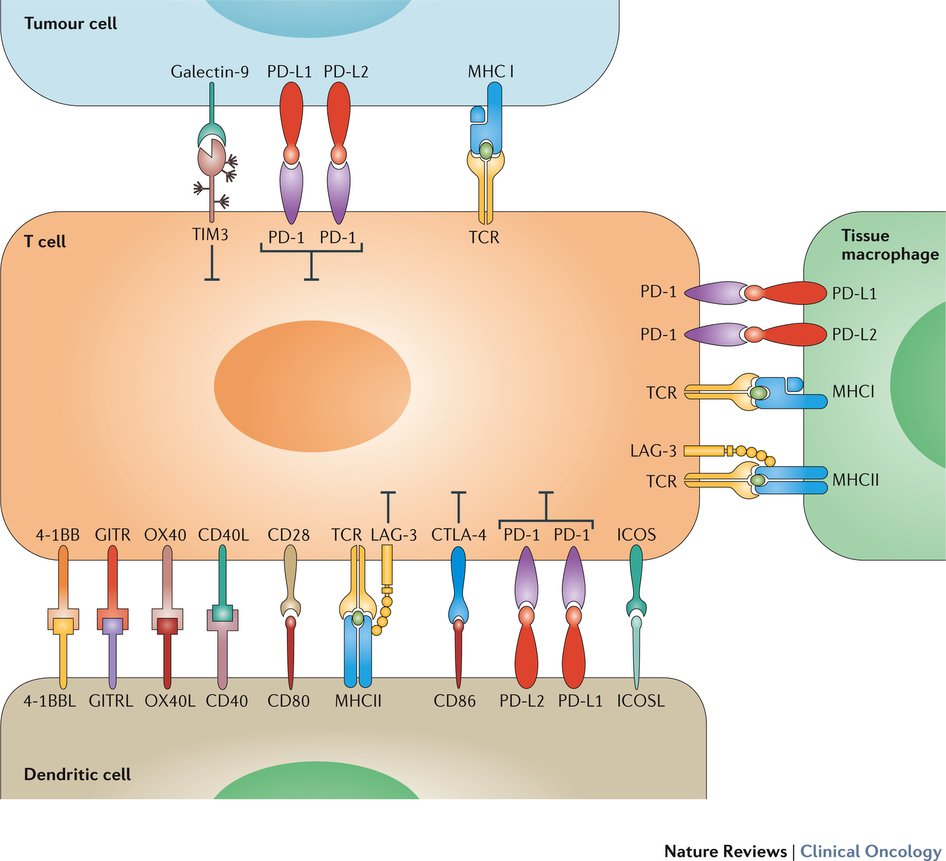 NatureRevClinOncol on Twitter "New Review now live 'Monitoring