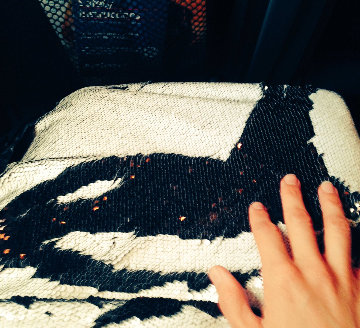allrealmachina's tweet photo. Dance, whales sequins, NYC and immersive theater workshops are the only reasons I'm up right now.  #thirdrailprojects #inflatable #AMtrak https://t.co/KcmOwPtaul