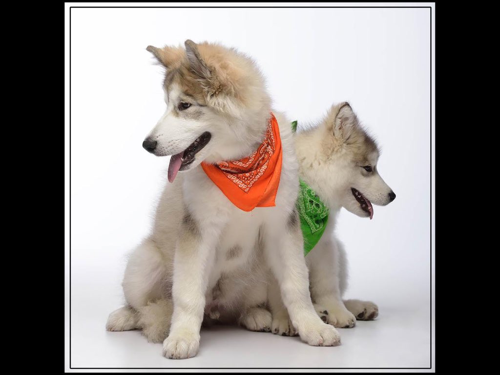 <a href="/PurbaSr/">Praby</a>