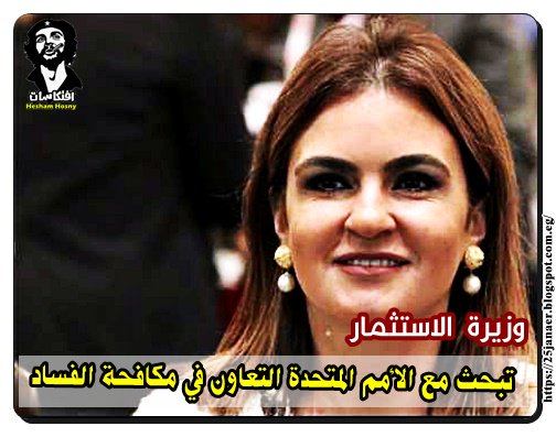 وزيرة  الاستثمار تبحث مع الأمم المتحدة التعاون في مكافحة الفساد