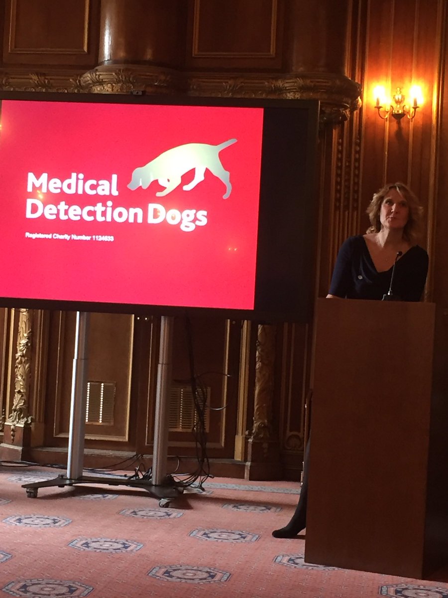 bexxyd's tweet photo. Dogs have 2 noses - they can smell 2 teaspoons of sugar in an Olympic swimming pool #fact @MedDetectDogs #cancerdetection #medicalassistance https://t.co/7cwwuzesdF