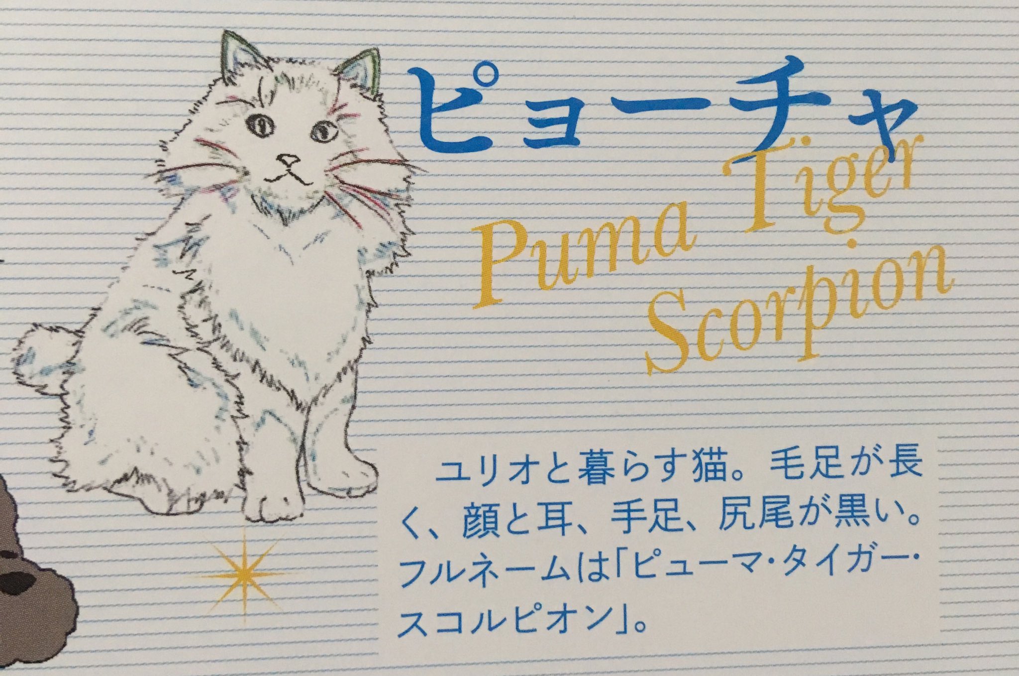 ひざと Ar Twitter ユリオの飼ってる猫すごい名前ェ 猫にタイガーとかつけるあたりユリオらしいけど笑
