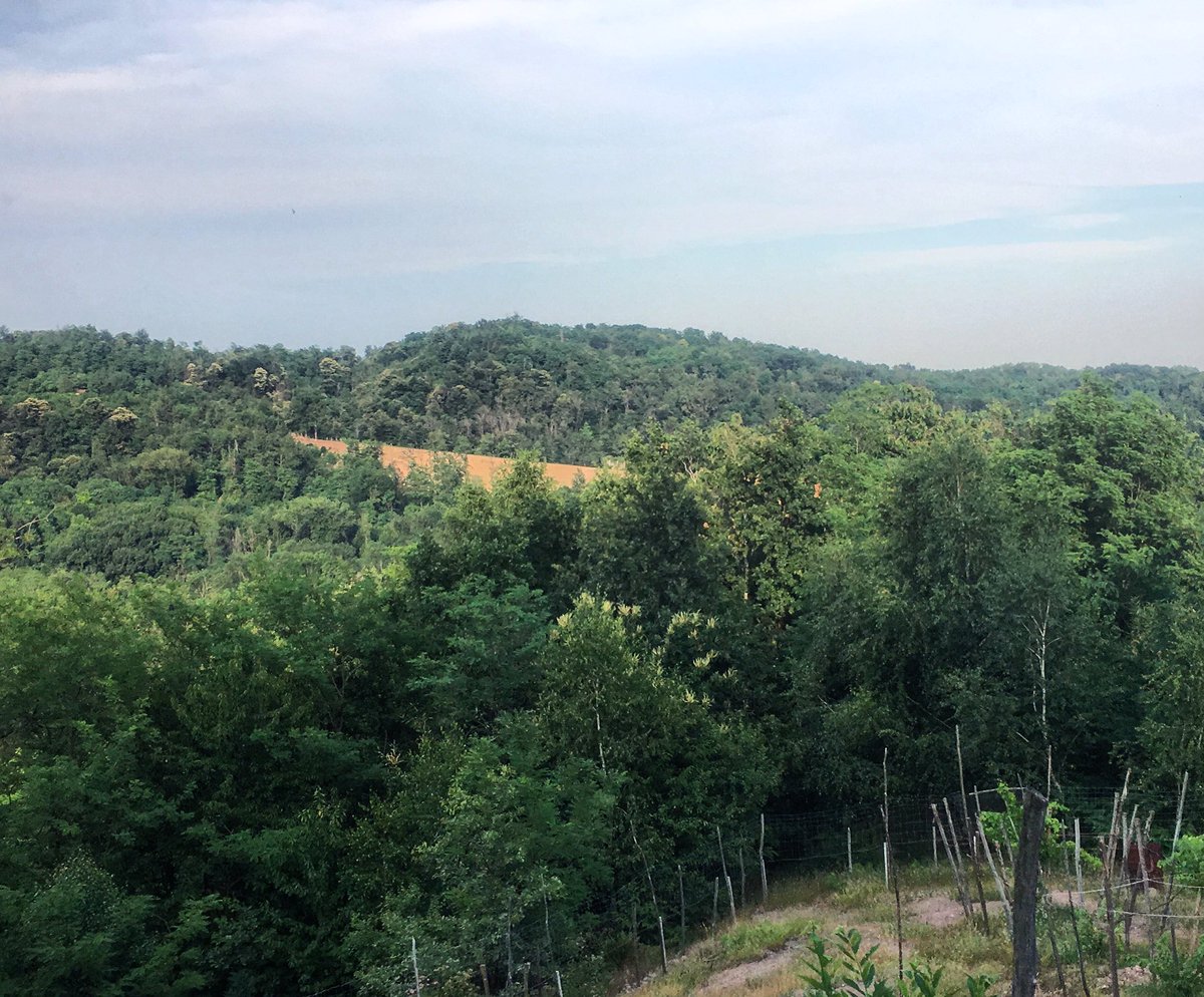conti_paola's tweet photo. Scollinando. #vignetopettirosso visto dai #vignetistorici #maggiorine #bocadoc #distances #oggi https://t.co/lu4STnsgUG
