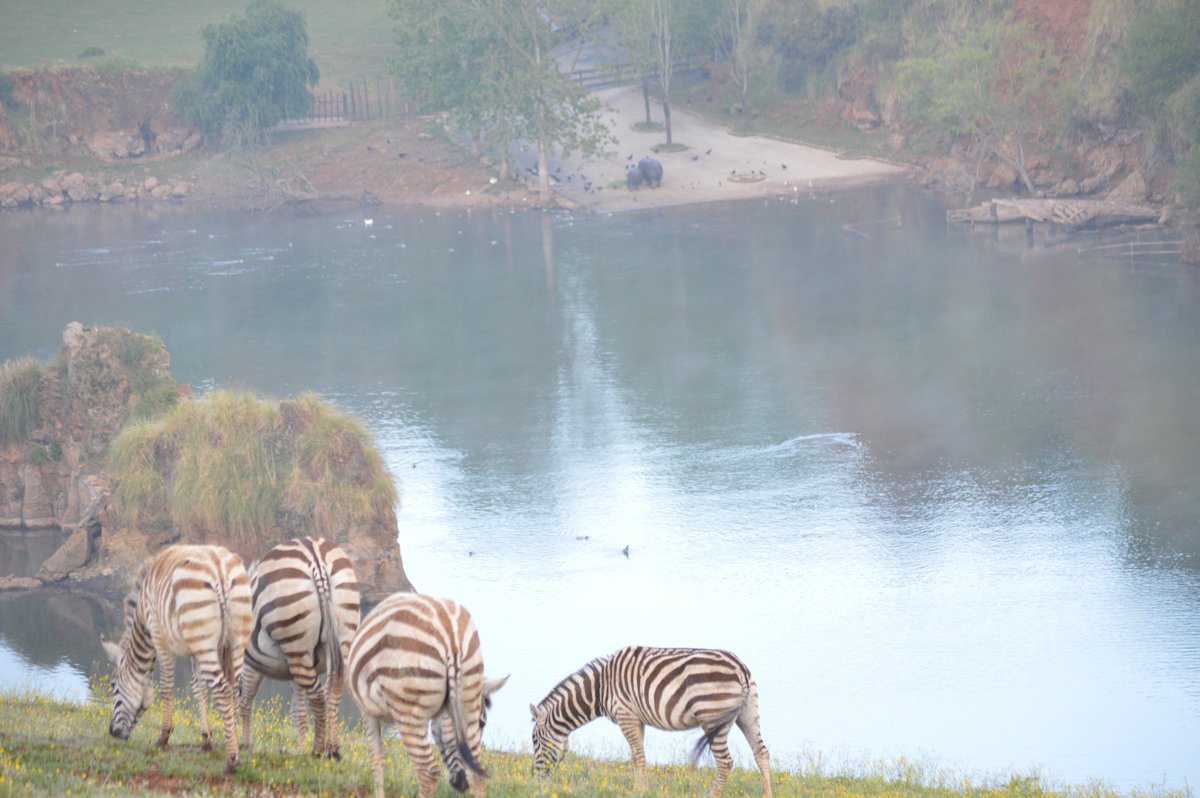 Llueve a ratos ¿y qué? La lluvia no es impedimento para disfrutar de este paisaje de ensueño, sino un atractivo más goo.gl/sdArPR