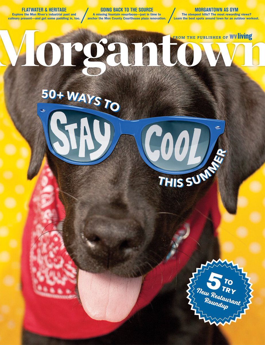 MorgantownMag's tweet image. Happy #NationalSunglassesDay 🐶🕶