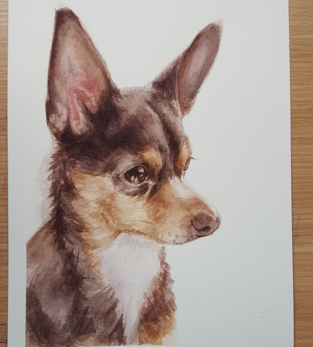 CLCportrait's tweet image. a full picture of my #NewProfilePic 📷 this is a portrait Coco, of my friend's lovely dogs #PetPortrait #Art #Painting #Northumberland