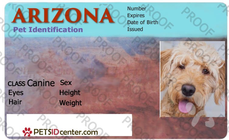 petsidcenter's tweet photo. #petidentification Arizona Pet ID TAG https://t.co/3FMMZTARuJ https://t.co/xqbqcugnQm