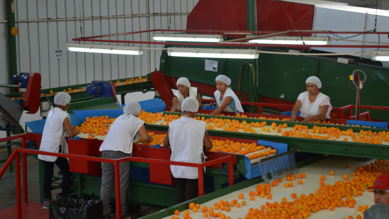 OITAndina's tweet photo. 'Las Mipymes como motor del empleo'. Artículo de @john_bliek de la @OITAndina por el Día Mundial de las Mipymes ► https://t.co/aP3qrONvht https://t.co/azbHjZpFbq