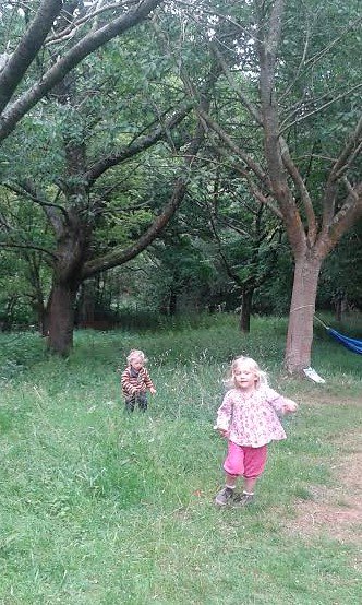 JRDiscoveryTree's tweet photo. Tues #forestschool made healing balm from foraged plantain&lavender&the music instruments took a good bashing! #discoverytree #healingherbs https://t.co/79DWbyohgA