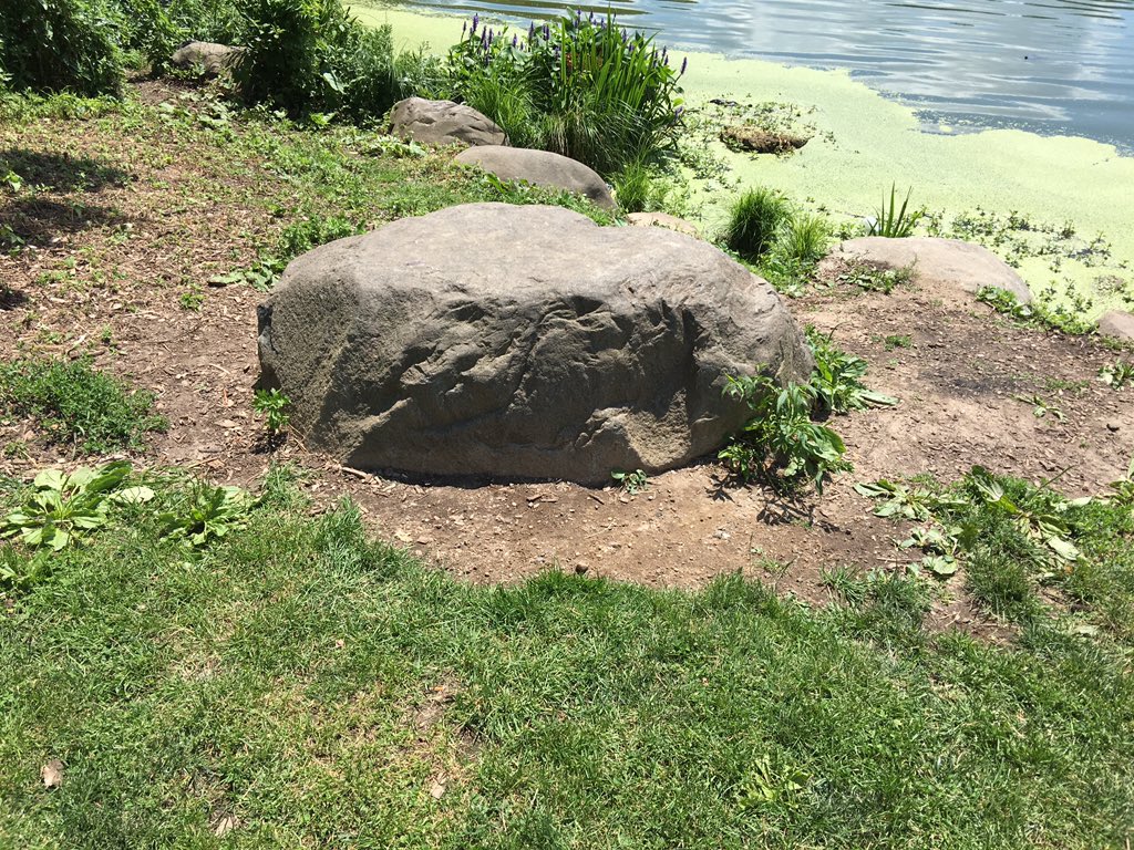ItsLovelifelive's tweet photo. @imarleneking miss king 👀 look I found my own kissing rock so I will always have a part of pll it's just missing 1 the lol AD+EF ❤️❤️️ https://t.co/yNVfThHoHR
