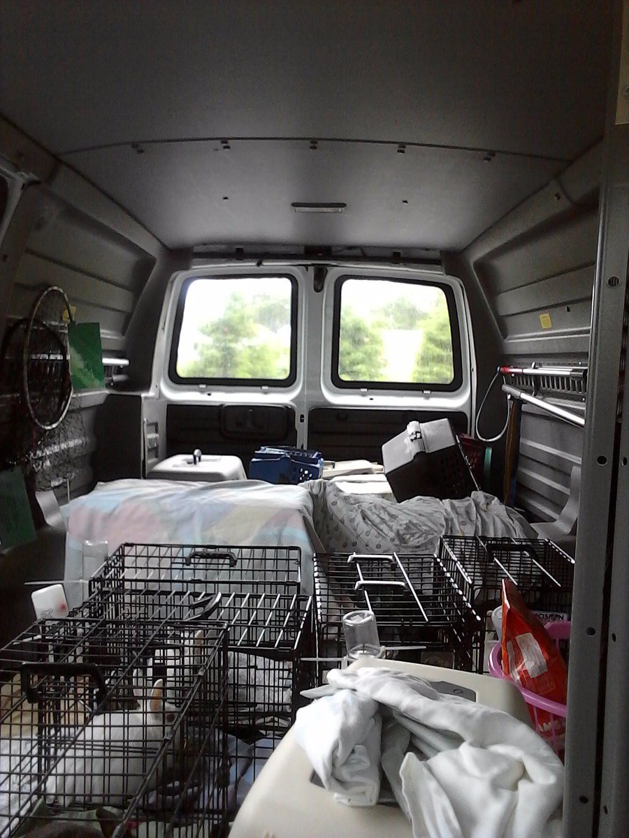 Our Outreach Dept on the road helping out families up north today. Some new friends coming to <a href="/ARLNH/">ARLNH</a> #cats #rabbits #adopt #spay #neuter