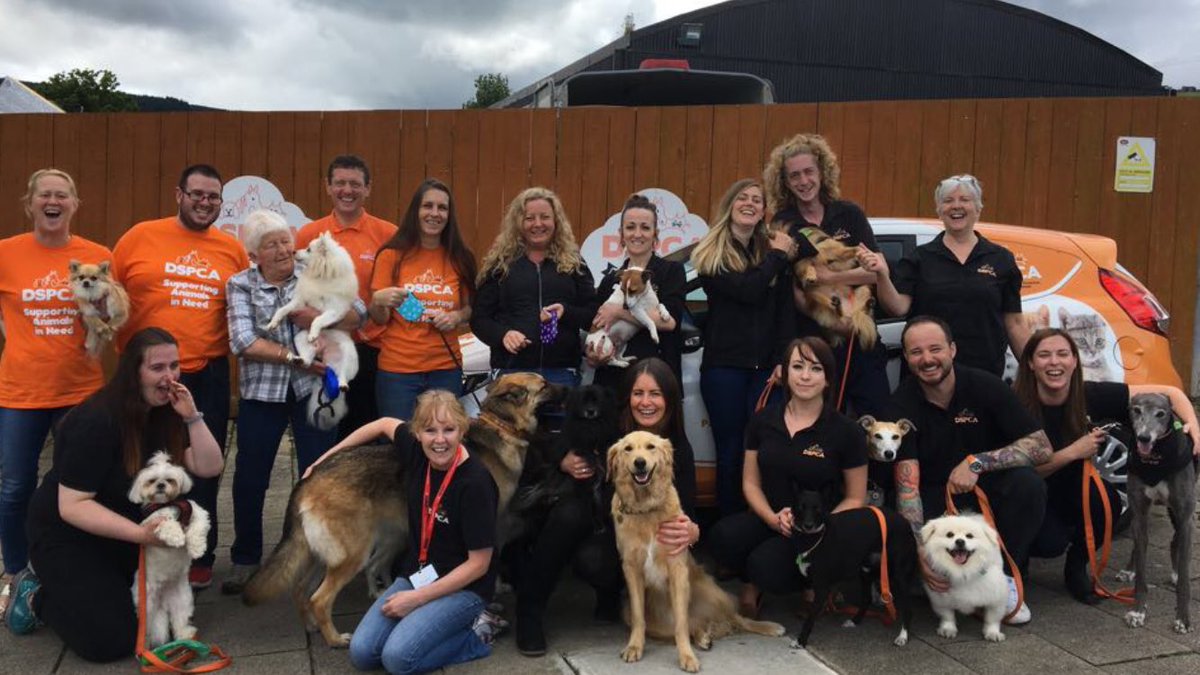 Thank you <a href="/rickygervais/">Ricky Gervais</a> so much for your generous donation to the #dspca from your Dublin show. The staff &amp; our dogs say a big thank you 🐶